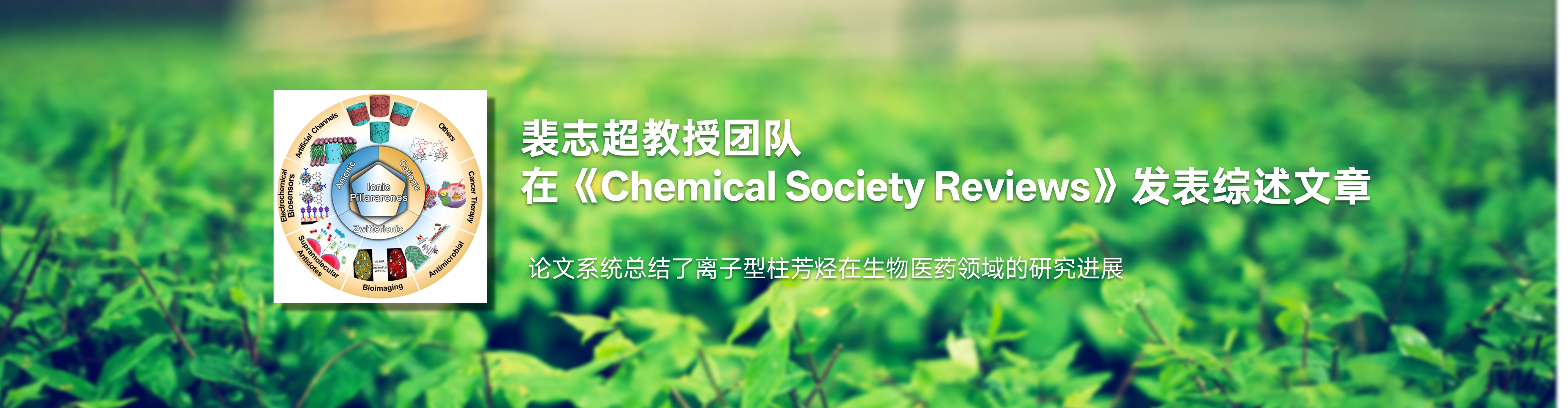 化药百家乐规则
裴志超教授团队在《Chemical Society Reviews》发表综述文章